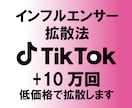 TikTokで＋10万回～再生されるまで拡散します インフルエンサーがオススメする拡散方法 イメージ1