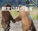 リピーター様限定。即チャット1時間！延長もあります 1時間回数は無制限です。LINE感覚で雑談や相談しましょう イメージ1