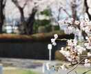 素材としての写真をご提供いたします 四季や風景の素材を探している方にぴったりな写真です。 イメージ7