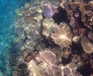 離島応援ナース！挑戦したい人興味ある人相談のります 経験者でないと語れないリアルな部分をお話したいと思います！ イメージ3