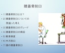10分で分かる！膝蓋骨脱臼！パテラの全てお話します 年間の整形症例数300頭以上の動物病院に勤務！パテラのお話！ イメージ2