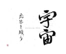 オリジナルの筆文字作品やデザイン書を作成します ユニークで他には無いデザイン書を、身近に感じてみませんか？ イメージ8