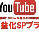 登録者1000人＆再生回数5000回拡散します 収益化条件を満たしチャンネルを収益化に導く！ イメージ1