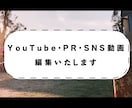YouTube・PR・SNS動画　編集いたします お客様の伝えたいイメージを大切にします！ イメージ1
