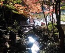 １つまで、インスピレーションで透視します あなたの「お悩み」に、親身になって回答します。 イメージ1