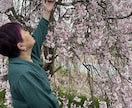 あなたの愚痴お聞きし私に話してスッキリします 悩み聞かせて　ゆっくりだけど確実に自分の足で進む為に イメージ2