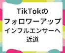 TikTokの再生回数を日本人視聴で増加させます ティックトックの500万回まで動画宣伝・バイラルします！ イメージ2