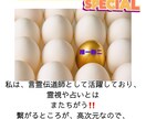 龍の気ヒーリング　エネルギー再調整承ります 多角的なエネルギーを駆使して、エネルギー浄化と再調整を！ イメージ3