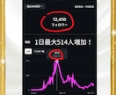 Instagramフォロワーを増やす極意教えます 半年でフォロワー1万人！成功実績から学ぶフォロワーの増やし方 イメージ2