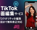 SNS用ショート動画の編集作業承ります 心に刺さるショート動画で、あなたのアイデアを形にしませんか？ イメージ1
