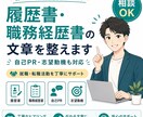 履歴書・職務経歴書の文章を整えます 自己PR・志望動機を読みやすく作成します イメージ1