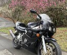バイク、車購入を検討される方の相談に乗ります 押し売りしません。求められればおすすめします。 イメージ3