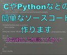 CやPythonなどの簡単なソースコード作ります CやPythonなどのソースコードをお安く作ります。 イメージ1