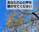 秘密厳守 社会福祉士があなたの話に寄り添います あなたの心が晴れるようにお話を伺います イメージ1