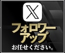 X（Twitter）のフォロワーを増やします 圧倒的コスパ！集客・宣伝・拡散を保証いたします。 イメージ1