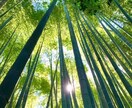 あなたの体験や考えお聴き致します あなたの悩み、体験や考えをお聞かせ下さい！ イメージ1