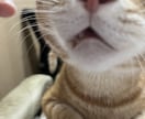 年は取ってみるもんだな。その心境をお伝えします 死にたいを含めて50年近くどうにかやってきてたどり着いた境地 イメージ2