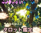 タロットで現状と改善アドバイスをお伝えします 悩みは詳しく話さなくてもOK★プライバシーが守られます♪ イメージ1