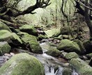 国内離島一人旅の相談乗ります 国内離島28か所を訪れた経験をもとに離島旅行のお手伝い イメージ4