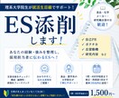 食品・化学メーカー志望の理系院生がESを添削します 経験・強みを整理し、採用担当者に伝わるESを一緒に考えます！ イメージ1