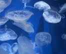 お話お聞きします 雑談、愚痴など、一緒にお話しませんか？ イメージ1