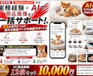 AI活用！売れるECショップの商品画像を作ります 楽天・YAHOO!向け売れる商品画像12枚を丸ごと制作します イメージ2