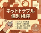 ネットトラブル個別対策・URL確認・相談承ります SNS・掲示板の誹謗中傷、削除への対策をサポートします イメージ1