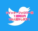 ツイッターのフォロワー様１００人増やしますます ☆実績０から２ヶ月で１万人達成☆フォロワー様を大切にします イメージ1