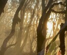 旅人があなたの悩みや人生相談乗ります やりたいことに踏み出す勇気が出ないあなたへ イメージ1