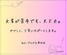 初心者向け｜伝わるWeb・ブログ記事を作成します 文章が苦手でも大丈夫。相談しながら形にします。 イメージ1