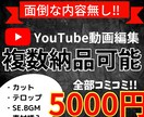 複数納品可能！YouTube動画編集を代行します シンプルなメニュー！30分以内であれば複数納品致します！ イメージ1