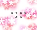 姓名診断します 姓名診断され改名されたい方におすすめ イメージ1