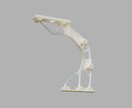 3Dモデルの作成から印刷まで行います あなたのイメージを形にしてお届けします！ イメージ3