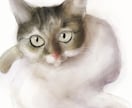 色鮮やかなイラストを描きます 鮮やかなイラストあなたのもとに… イメージ9