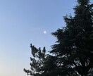 アドバイスも言わずただあなたの話を聞きます 暇つぶしみたいな友達との電話みたいでもok♪ イメージ1