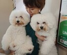 ペットロスのあなたのお気持ちに寄り添います 誰にも遠慮せず、お辛い想いをシェアしてくださいね。 イメージ1