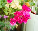 癒しの声で、雑談、お悩み、まるごと受け止めます 大人だけど甘えていい場所。否定せず、優しく寄り添います。 イメージ6