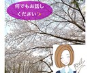 転職相談のります 転職活動での悩みありませんか？お話聞きます イメージ1