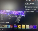 BO6【おすすめ】一緒にプレイ、迷彩代行します 時間がないという方、1人で寂しいという方おすすめ！ イメージ1