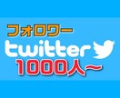 Twitter日本人フォロワー1000人増やします アクティブユーザーを+1000人以上♪何回でも3000円！！ イメージ1