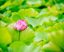更年期の悩みお聞きします 誰にでも訪れる更年期。どうやって乗り切る？ イメージ4
