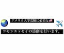 コモンエッセイの添削をおこないます アメリカの大学受験で必須になる、コモンアップの添削をします。 イメージ1