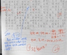 TOPIKII54番作文対策コース｜作文添削します ”TOPIK6級・쓰기90点”の講師がTOPIK作文を添削！ イメージ3