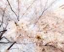 あなたの写真SNS映えするレタッチ致します あなたが撮ったお写真雰囲気良く、写真に合わせたレタッチ イメージ1