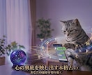 即日鑑定◎音信不通の理由と相手の本音を読みます 相手の本音と恋愛停滞の理由を読み解きます イメージ1