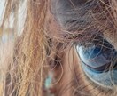 24時間☆チャットで山奥から寄り添います 山奥の素朴さや自然の厳しさから培った、共感、対話、寄り添い イメージ6