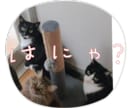 写真でLINEスタンプ作ります ご家族やペットの写真をLINEスタンプに致します。 イメージ3