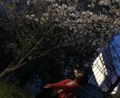 心の悩みや日頃の愚痴など聞きます 臨床心理学科を卒業してます。人の話を聞くのは苦になりません。 イメージ1