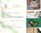 バナー・ヘッダーなど伝わるWEB画像を制作します イメージが曖昧でもOK｜丁寧なヒアリングで伝わるカタチに イメージ1