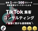 1ヶ月間TikTok運用のコンサルティングをします 個人様・法人様の運用/コンサル実績多数あり イメージ1